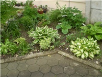 8bf7fc49-Picture 5872.jpg